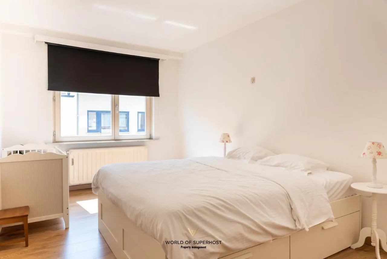 Beautiful Sunny Apartment Near The Sea Ostend